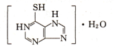 6-巰基嘌呤