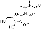 2'-甲氧基尿苷