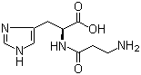 肌肽