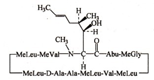 環孢菌素A