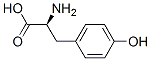 L-酪氨酸