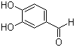 3,4-二羥基苯甲醛