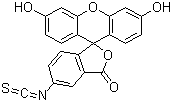 異硫氰酸熒光素酯