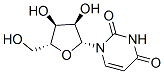 尿苷