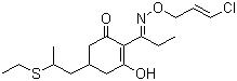 烯草酮乳油