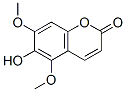 白蠟樹精