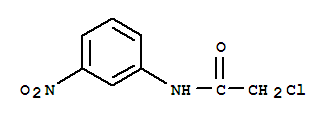 2-氯-3'-硝基乙酰苯胺