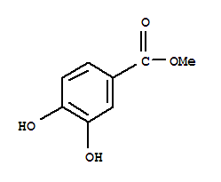 3,4-二羥基苯甲酸甲酯