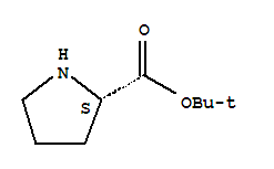 L-脯氨酸叔丁酯