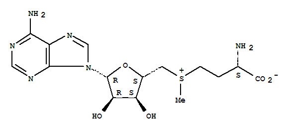 S-腺苷L-甲硫氨酸