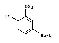 鄰硝基對叔丁基苯酚