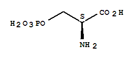 L-O-磷酸絲氨酸
