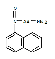 1-萘甲酰肼