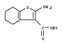 2-氨基-4,5,6,7-四氫苯并[b]噻酚-3-羧酸乙酯