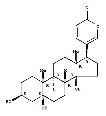 遠(yuǎn)華蟾蜍精