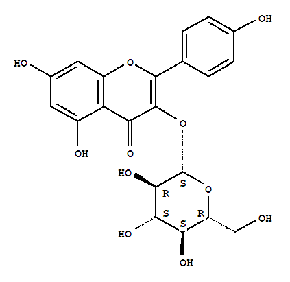 紫云英苷; 紫云英甙; 黃芪苷