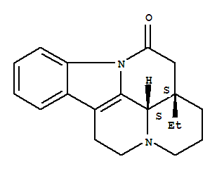 長春布寧