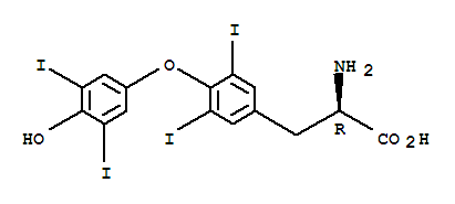 D-甲狀腺素