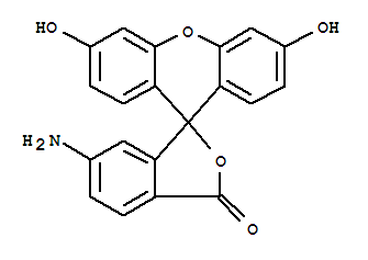 6-氨基熒光素