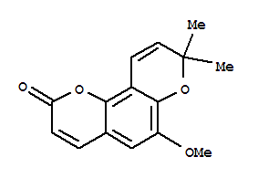 布拉易林