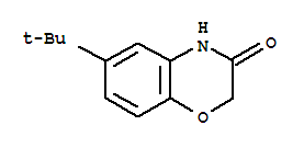 6-(叔丁基)-2H-1,4-苯并惡嗪-3(4H)-酮