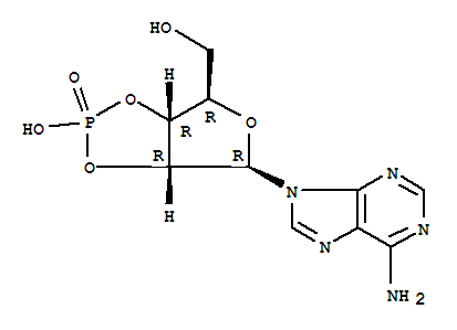 腺苷-2,3-環磷酸