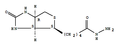 D-生物素酰肼