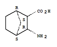 3-氧-氨基雙環[2.2.1]正庚烷-2-氧-羧酸