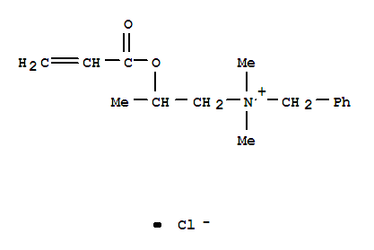 甲基丙烯酰氧乙基二甲基芐基氯化銨