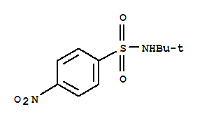 N-叔丁基-4-硝基苯磺酰胺