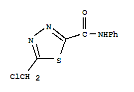 5-氯甲基-N-苯基-1,3,4-噻二唑-2-羧胺