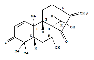 涼山香茶菜素A