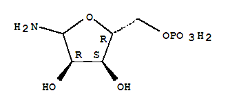 磷酰核糖基胺