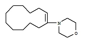 1-嗎啉-1-環十二烷烯