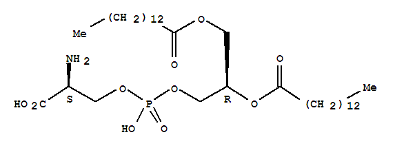 二肉豆蔻酰基-L-alpha-磷脂酰-L-絲氨酸