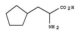 3-環戊基-DL-丙氨酸