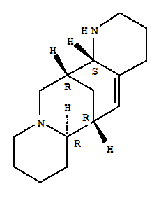 苦豆堿