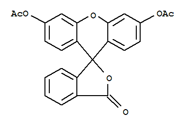 熒光素二乙酸鹽