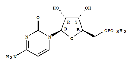 5'-胞苷酸