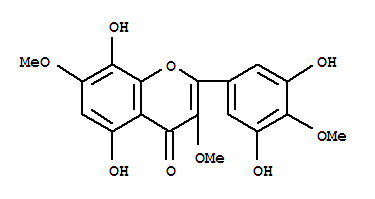 玫瑰茄紅