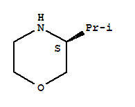 (S)-3-異丙基嗎啉