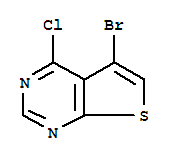 5-溴-4-氯噻吩并[2,3-D]嘧啶(814918-95-1)
