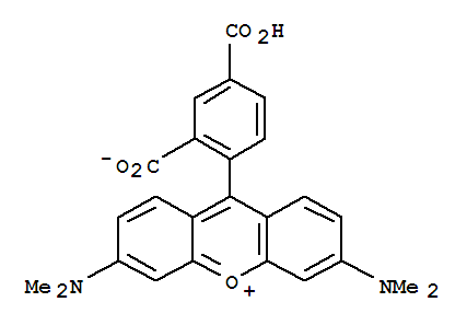 5-羧基四甲基羅丹明