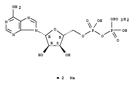 腺苷-5'-三磷酸二鈉鹽; 三磷腺苷二鈉