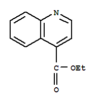 喹啉-4-羧酸乙酯