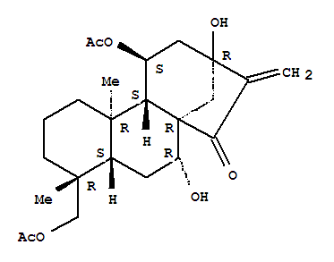 葉含乙酰癭花香茶菜素 B