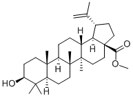 樺木酸甲酯