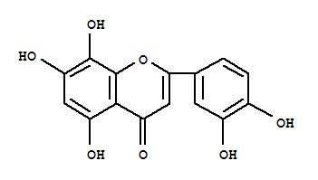 羥基木犀草素