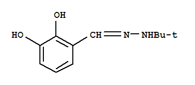 3-{(E)-[(2-甲基-2-丙基)亞肼基]甲基}-1,2-苯二酚