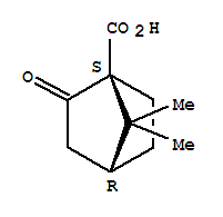 (S)-(+)-酮基蒎酸